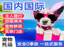 广元盘龙机场邮寄国际宠物托运 【国
